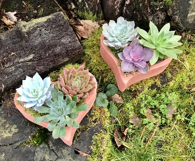 Terracotta heart planter