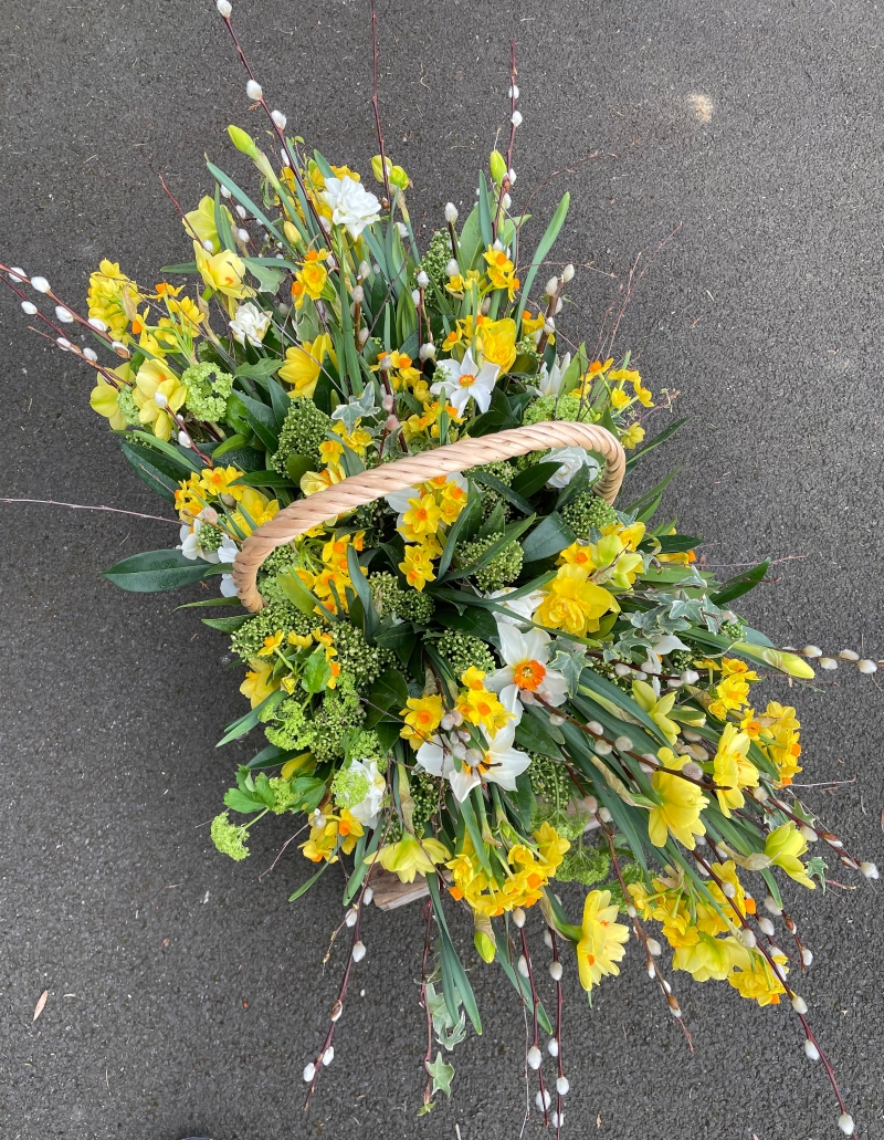 Daffodil & Narcissus basket